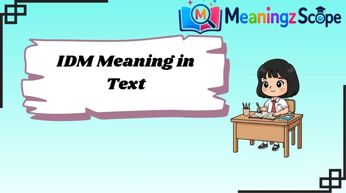 IDM Meaning in Text IDM Meaning in Text