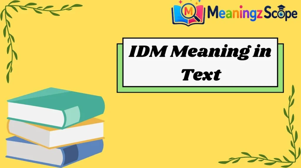 IDM Meaning in Text