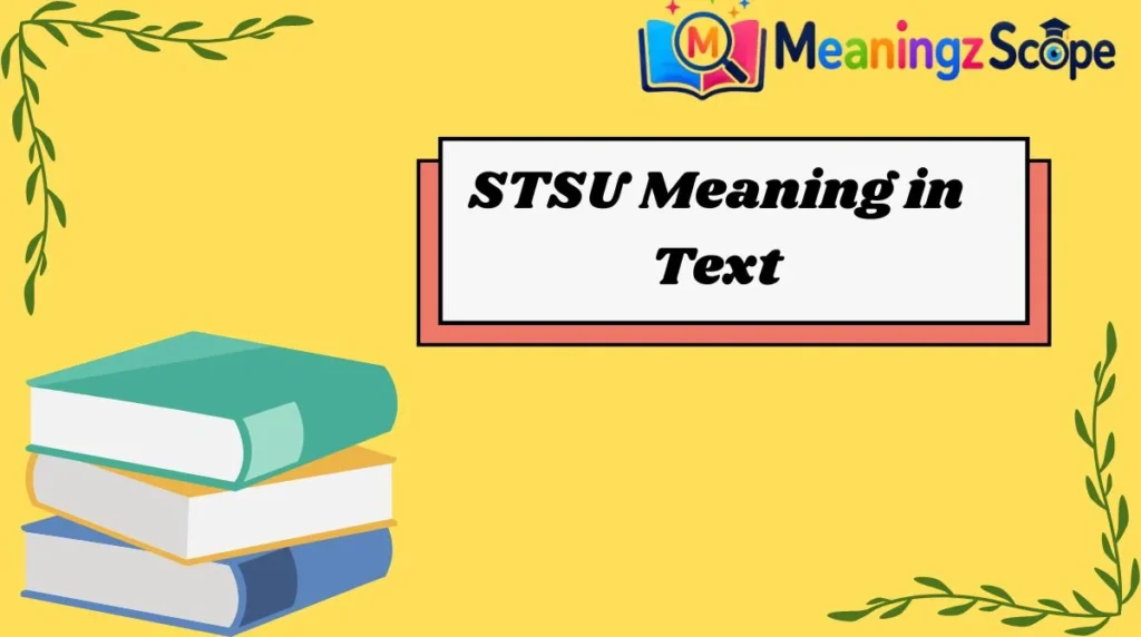 STSU Meaning in Text