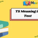 TS Meaning in Text