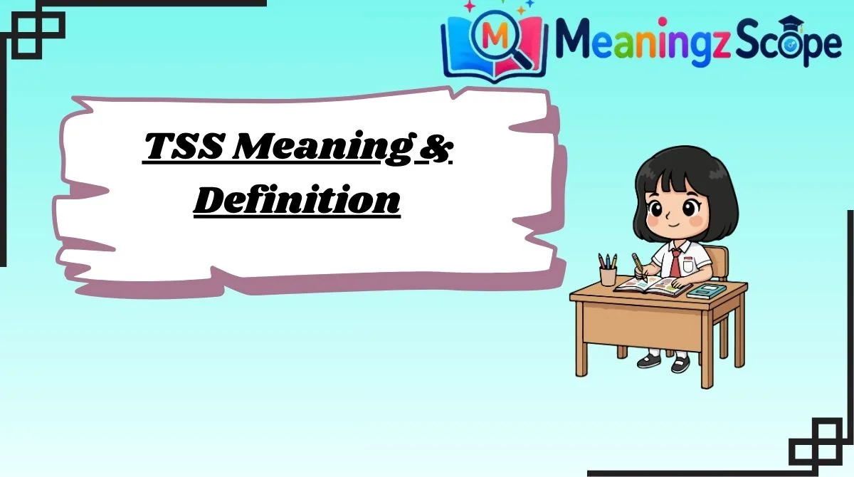 TSS Meaning & Definition