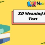 XD Meaning in Text